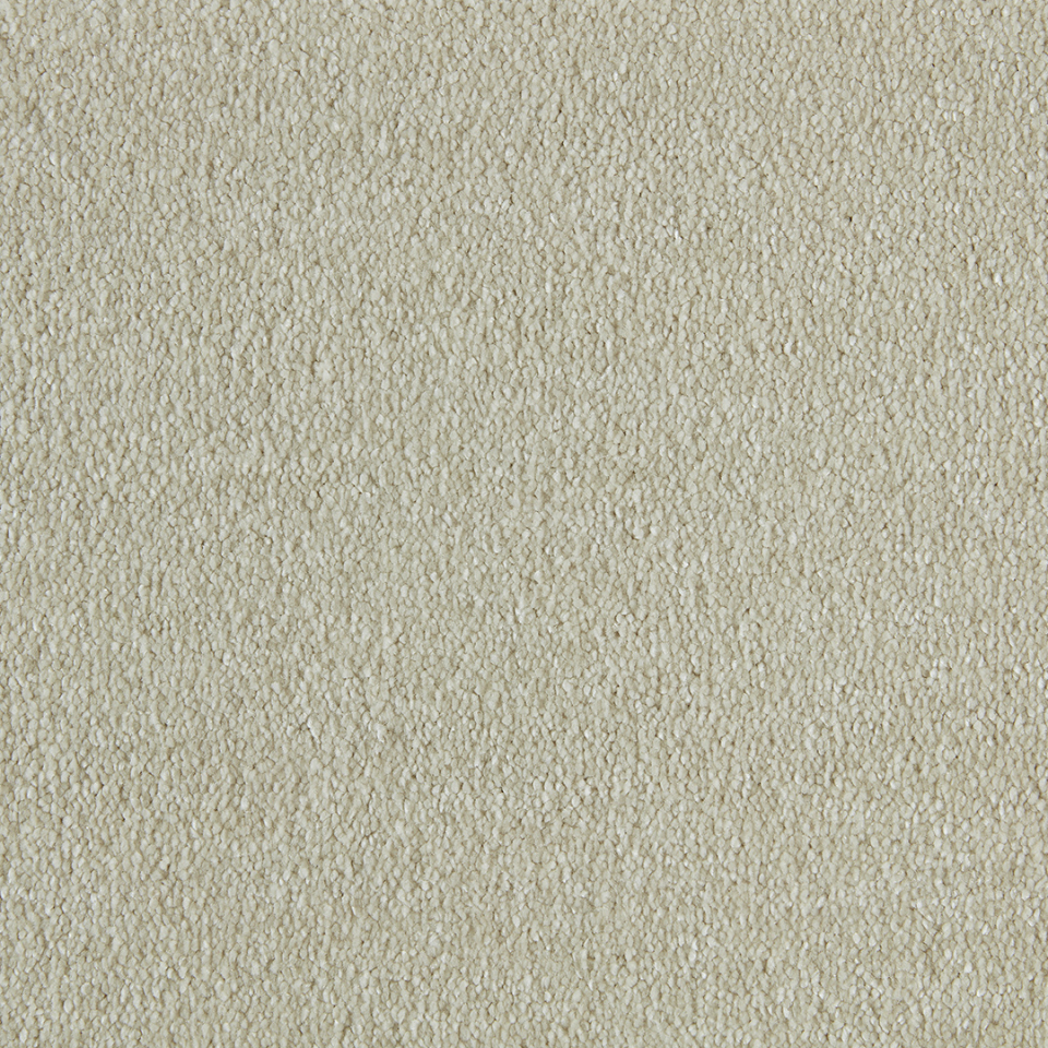 Philadelphia saxony carpet in colour 440
