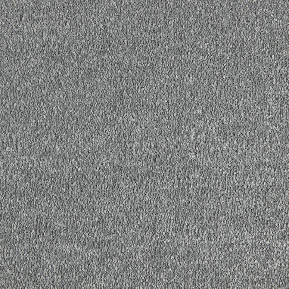 Philadelphia saxony carpet in colour 830