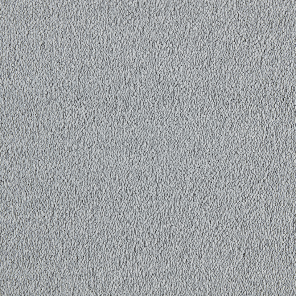philadelphia saxony carpet in colour 870