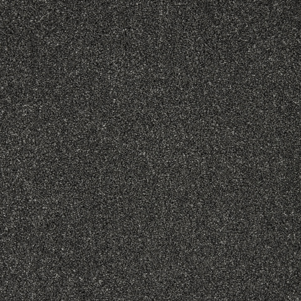 pompei twist pile carpet in Jet
