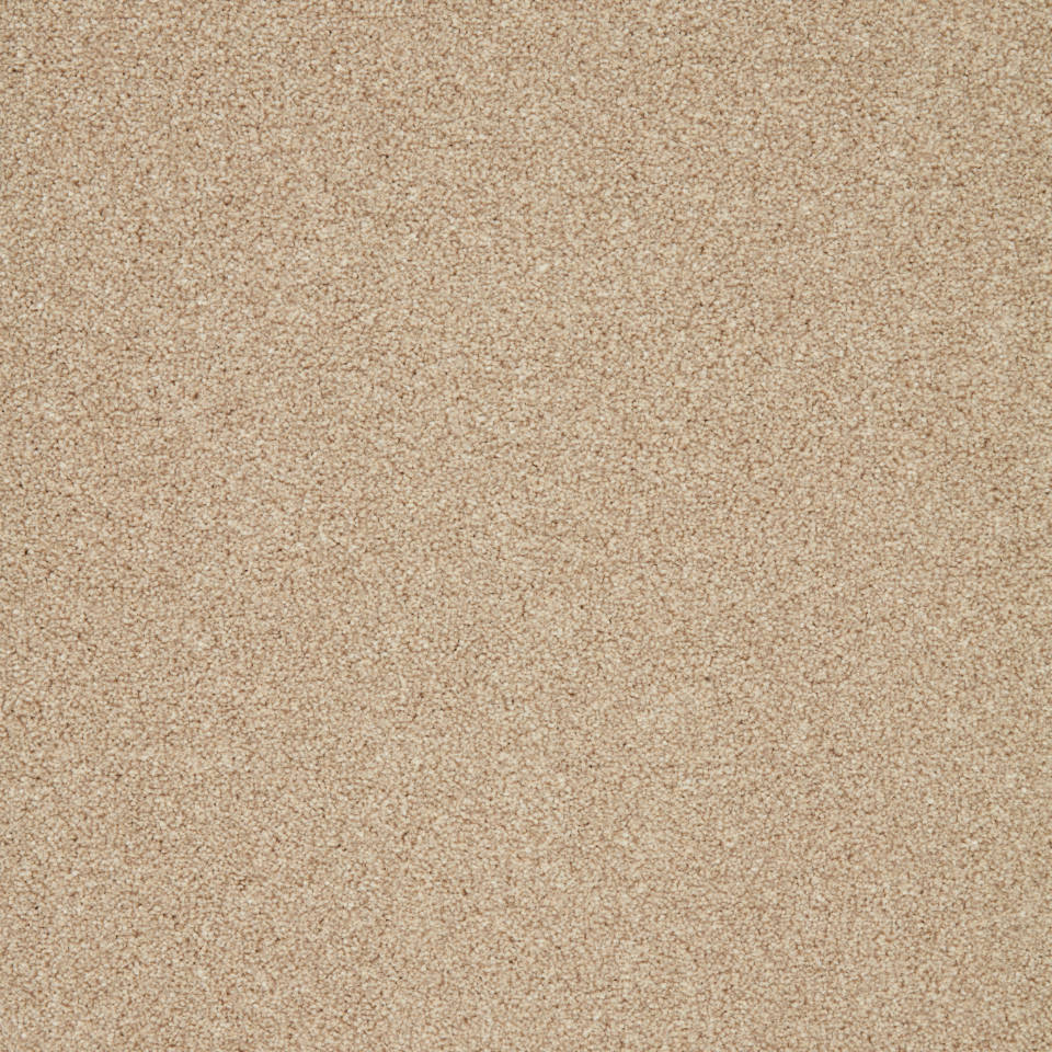 pompei twist pile carpet in Marshmallow