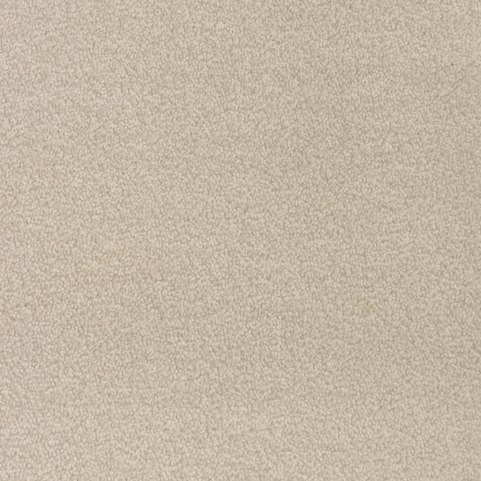 severus saxony carpet in colour 03