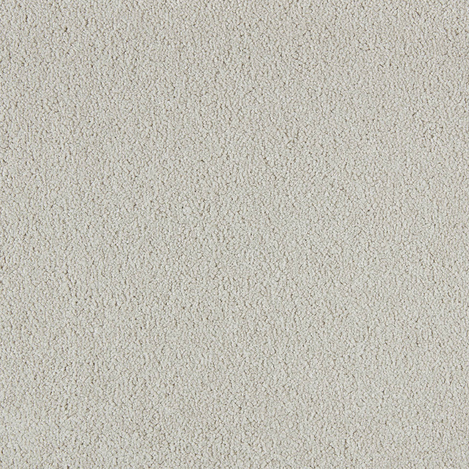 Bilbao saxony carpet in colour Biscuit