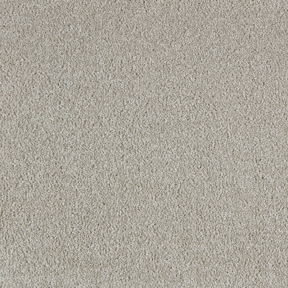 Bilbao saxony carpet in colour Elmwood
