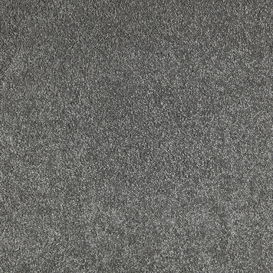 Bilbao saxony carpet in colour Ash