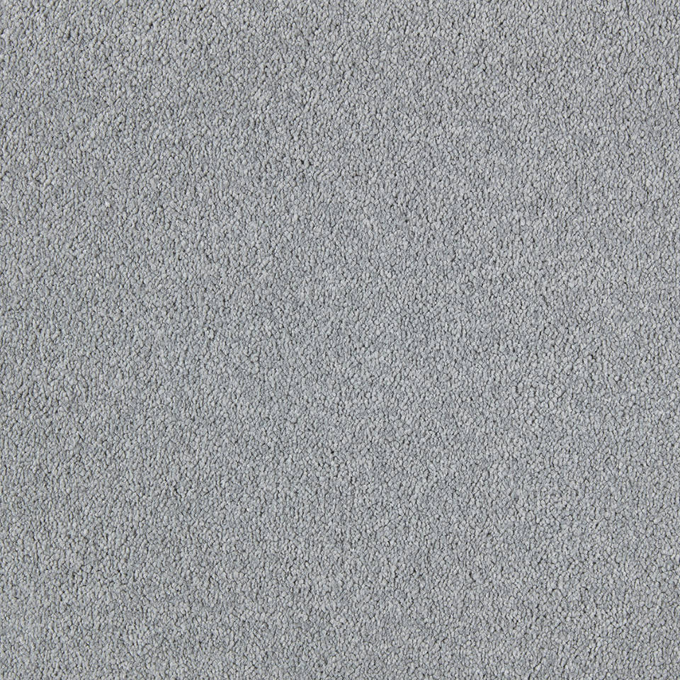Bilbao saxony carpet in colour Silver