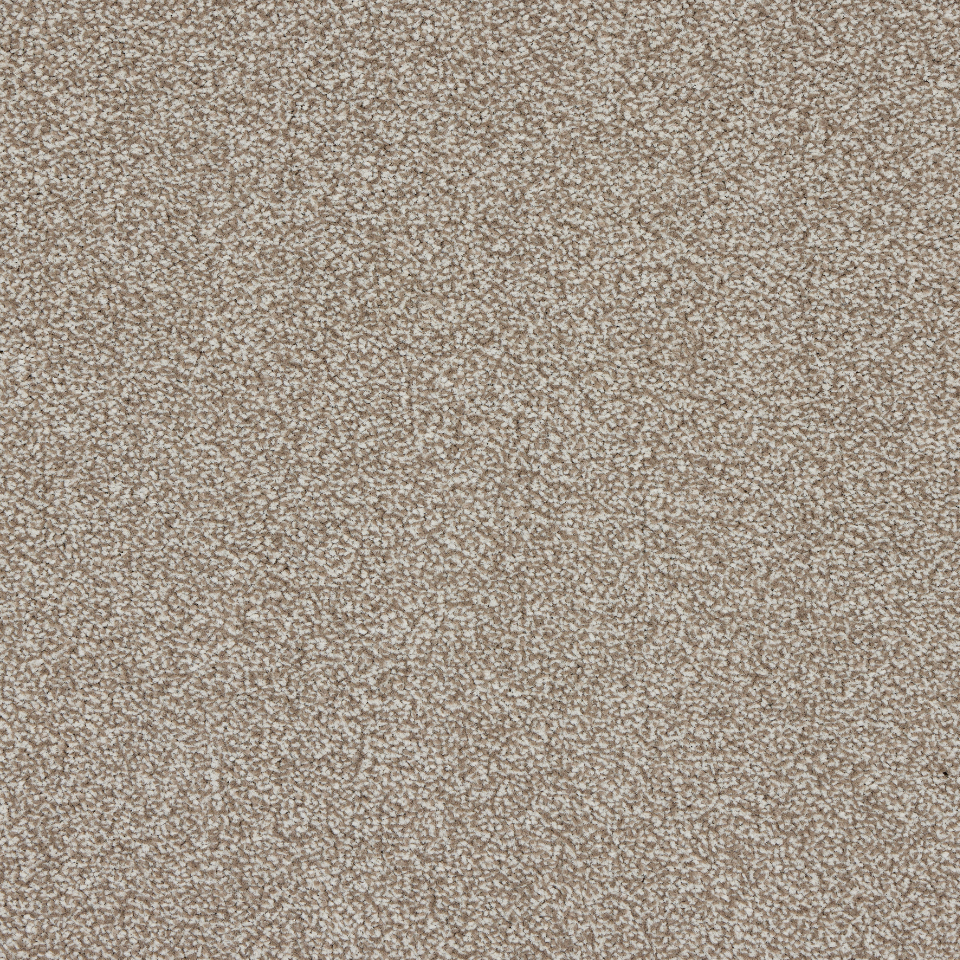 St Davids twist pile carpet in Oak