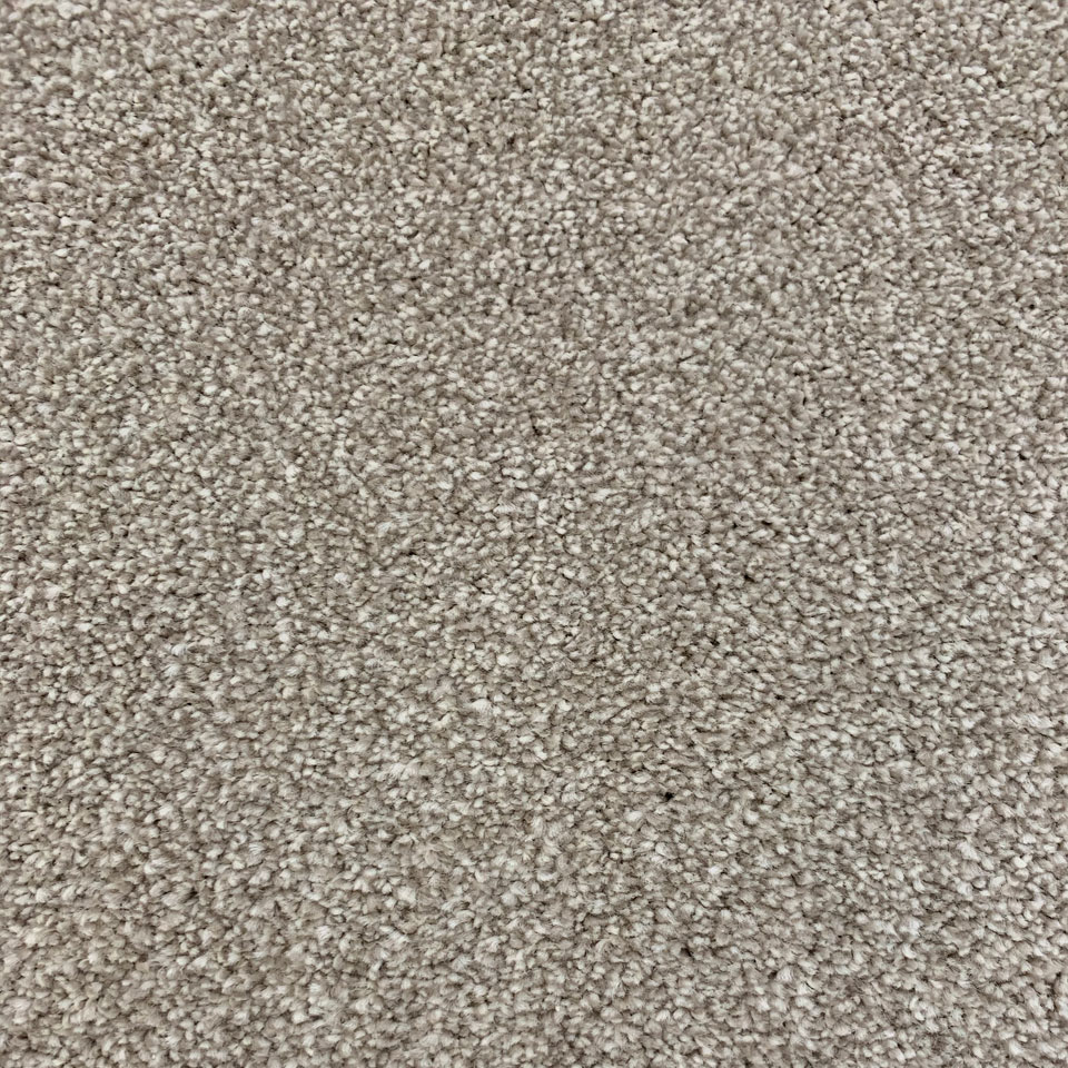 Turin saxony carpet in colour coral