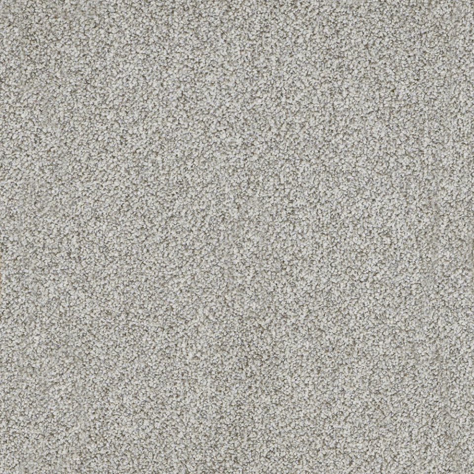 York Elite twist pile carpet in Quick Silver