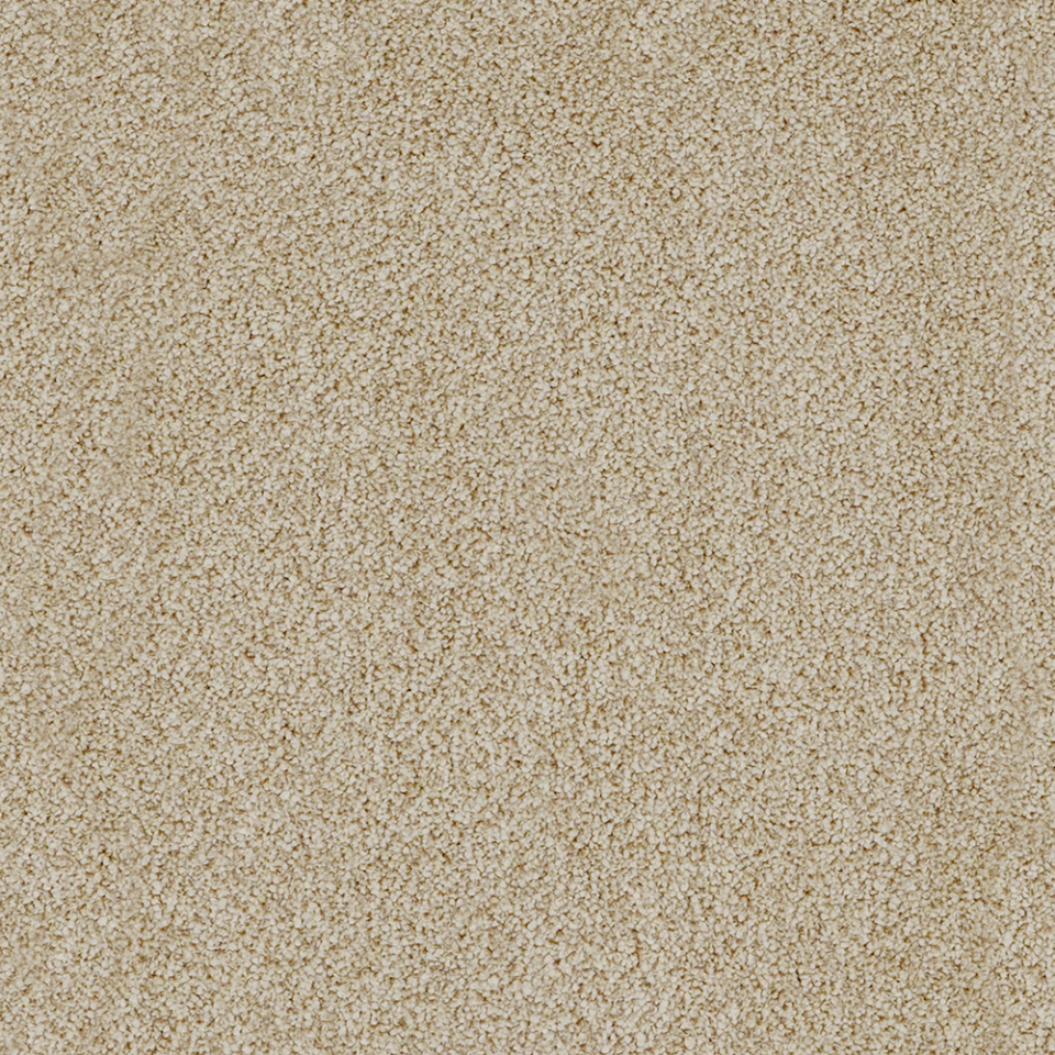 York Elite twist pile carpet in Sand Dune