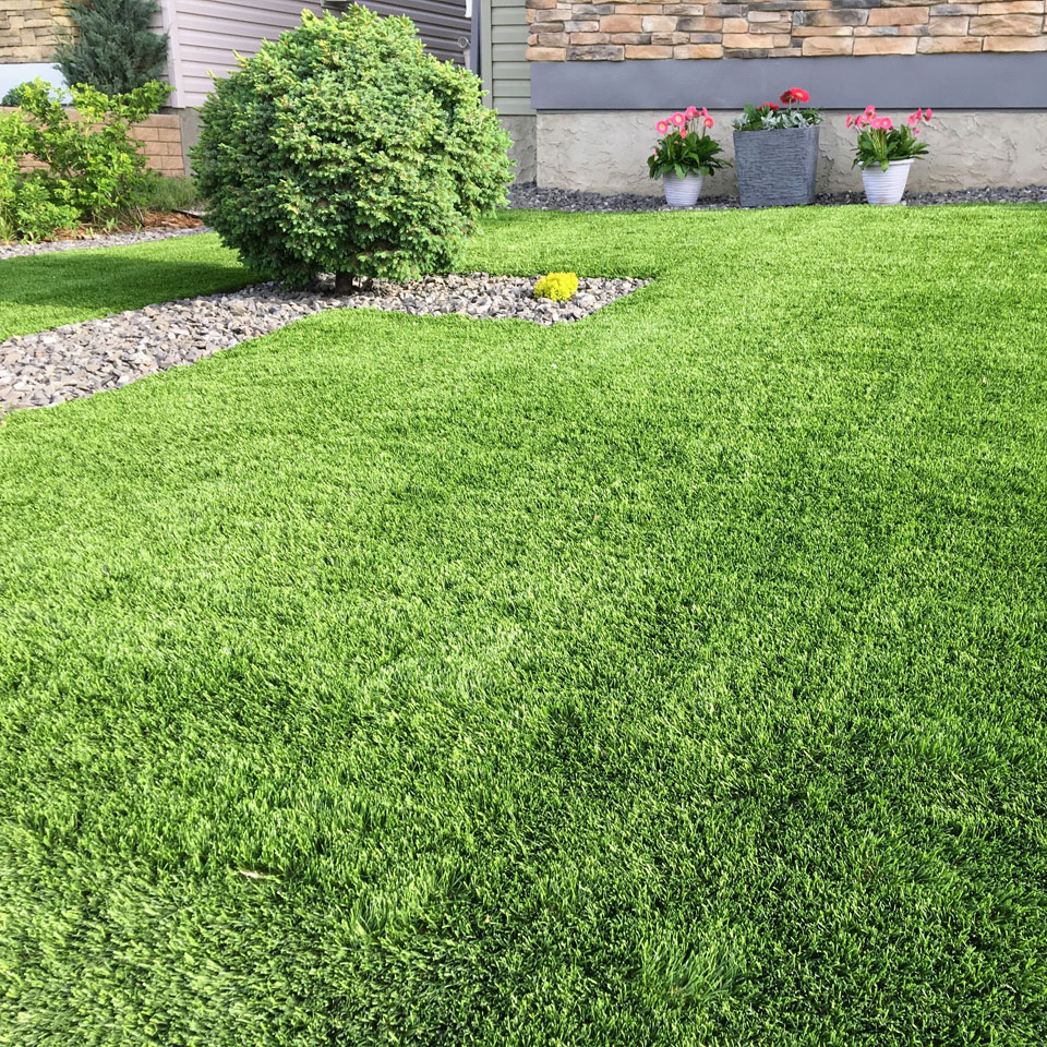 Green artifiical grass in a sunny garden