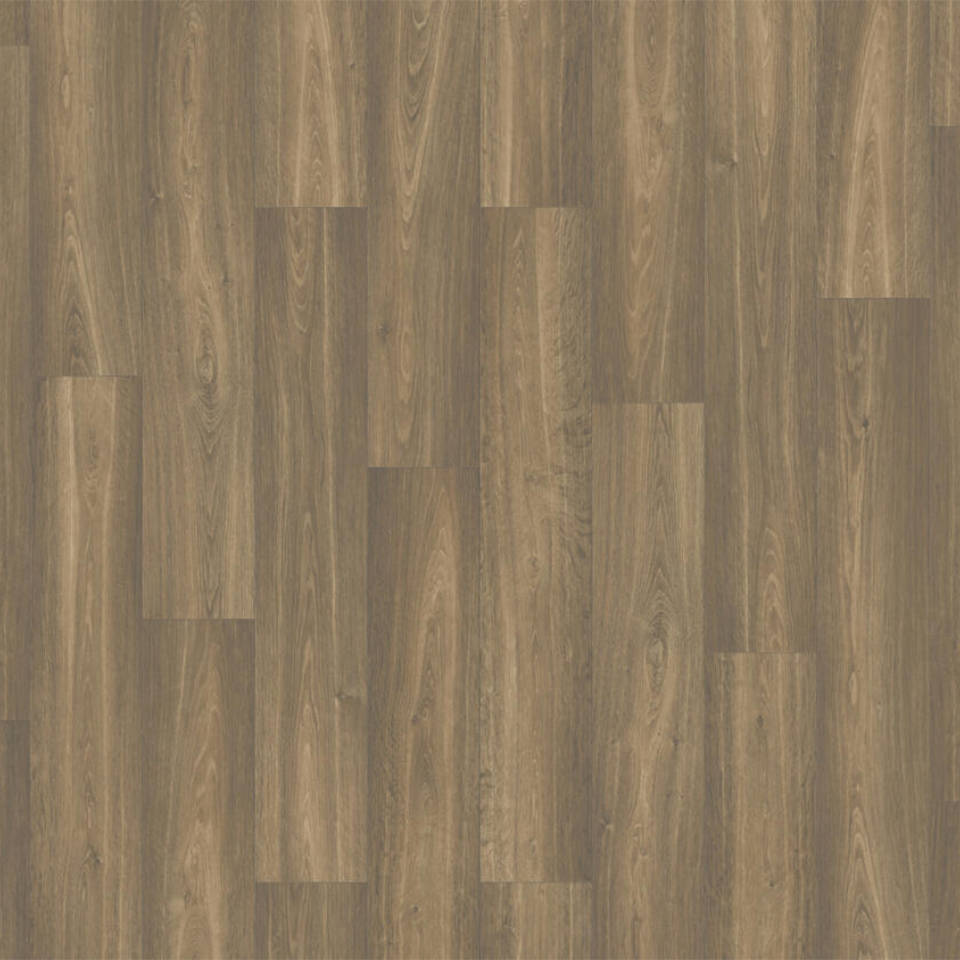 New Felt Elite bonsai caramel vinyl