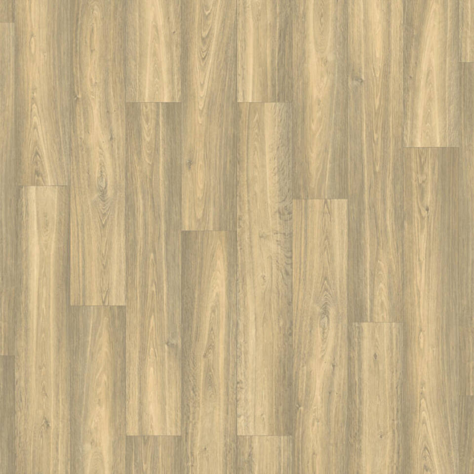 New Felt Elite bonsai spelt vinyl