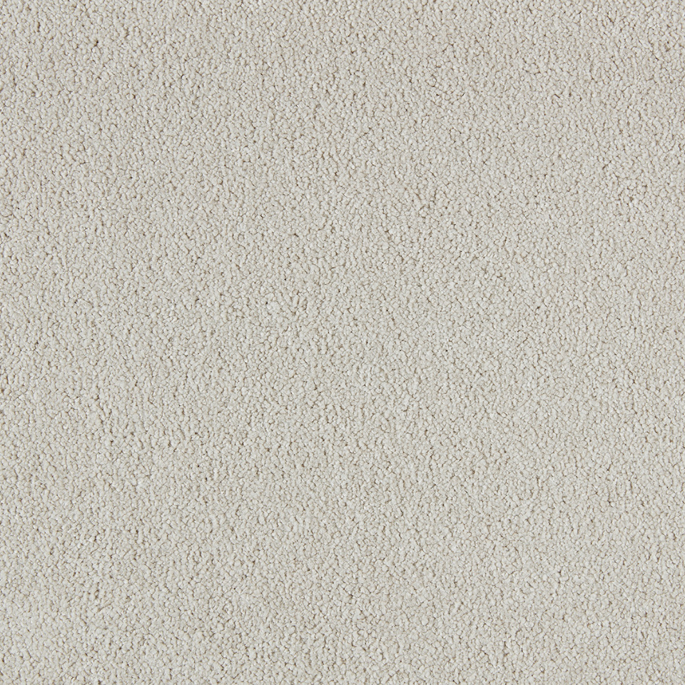 Soft distinction twist saxony carpet in colour Biscuit