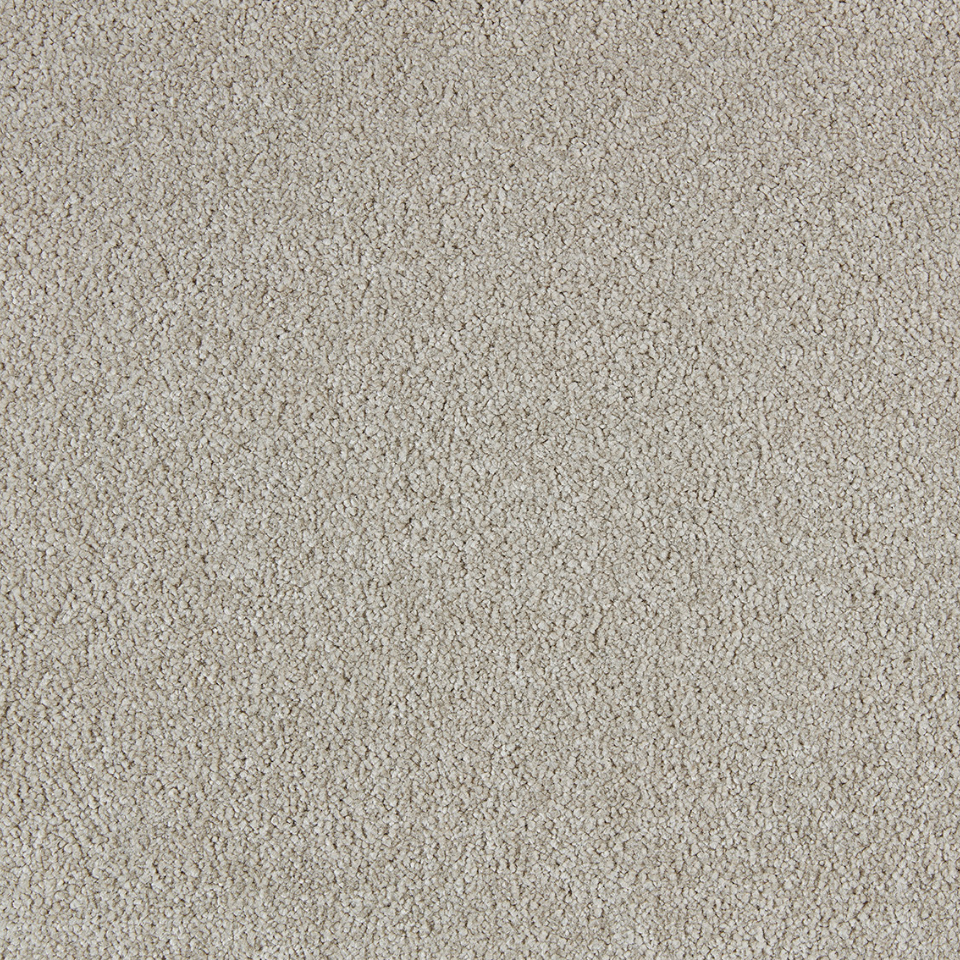 Soft distinction twist saxony carpet in colour Elmwood