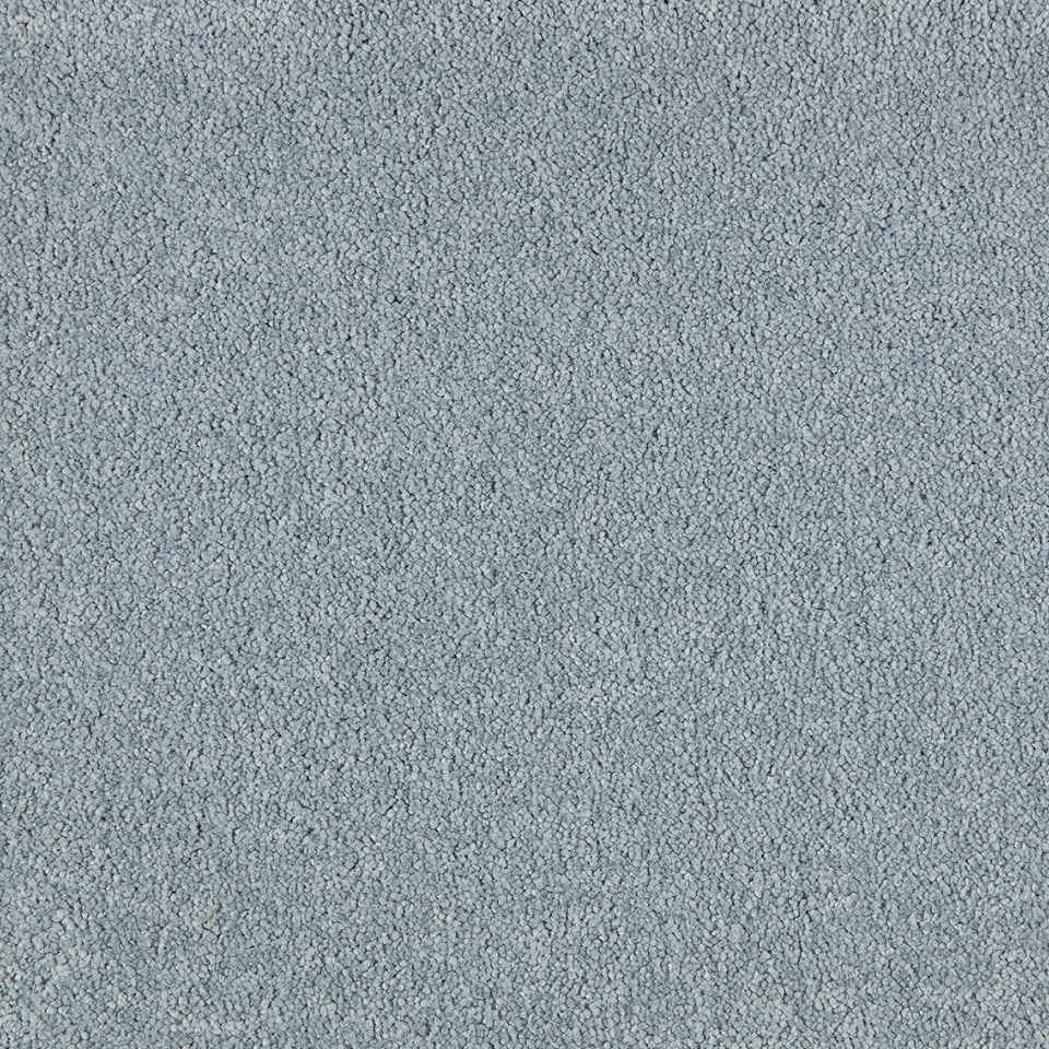 soft distinction carpet in metal