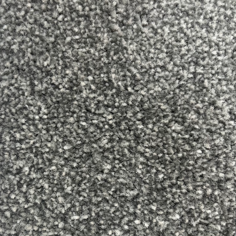 Sydney twist pile carpet in Pewter