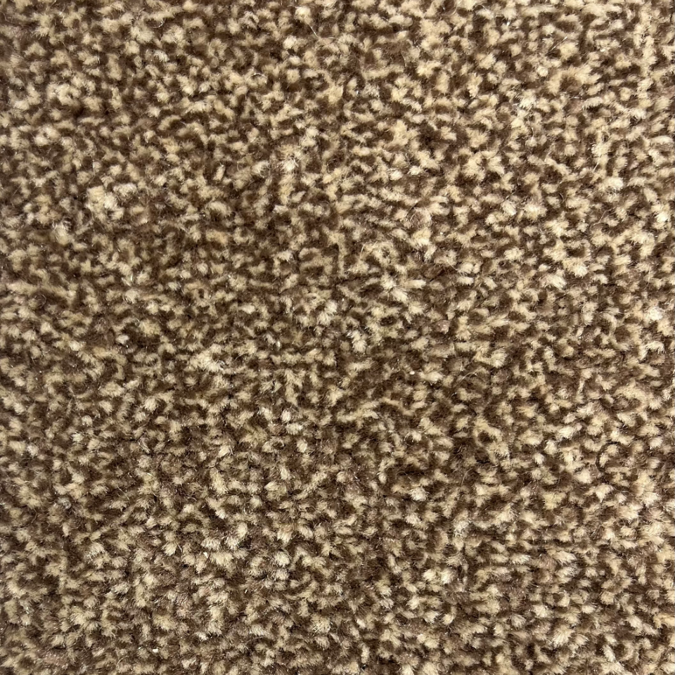 Sydney twist pile carpet in Sable