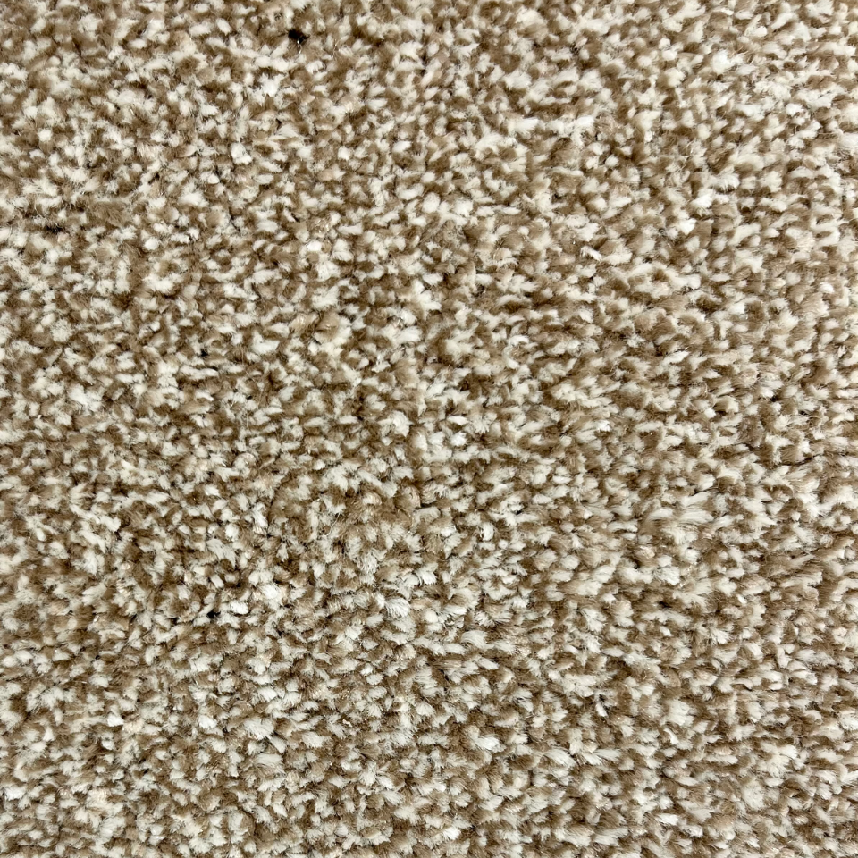 Sydney twist pile carpet in Sandstone