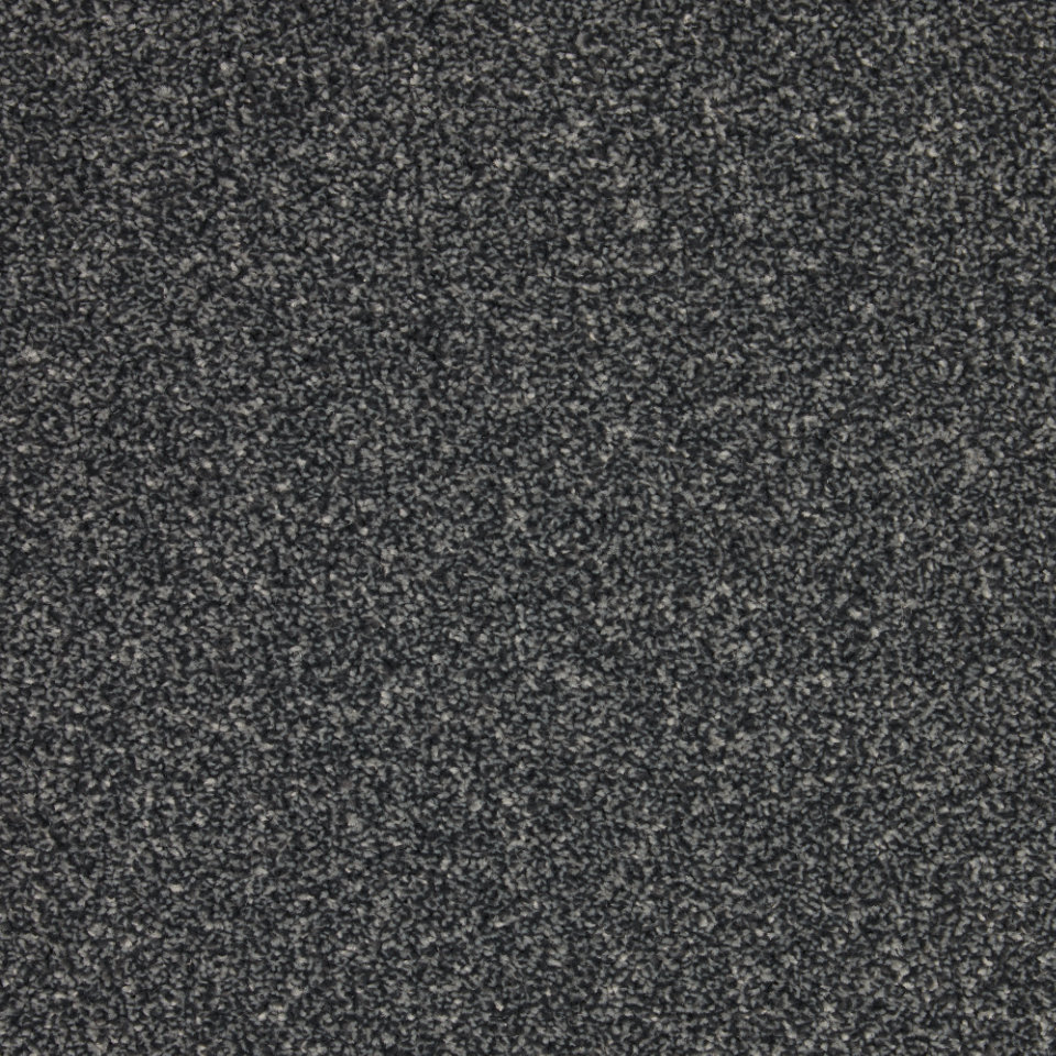 Turin saxony carpet in colour Beetle Black