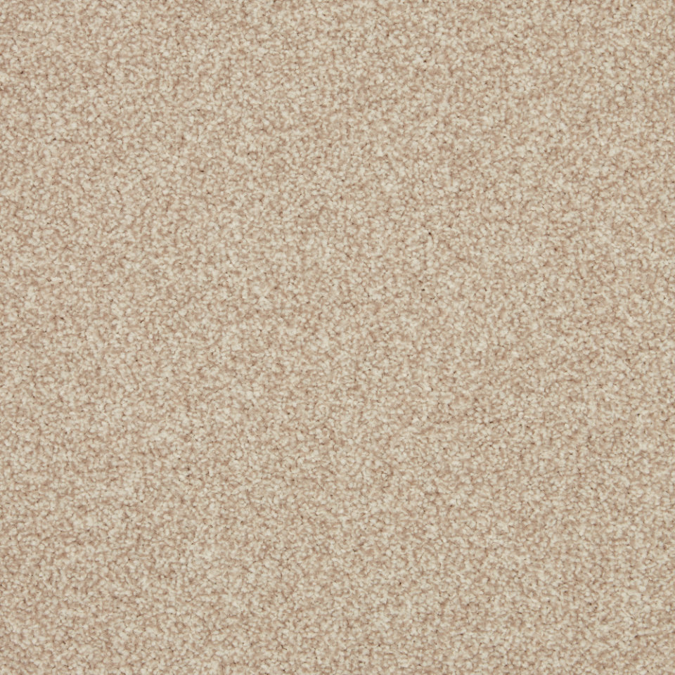 Turin saxony carpet in colour Coral