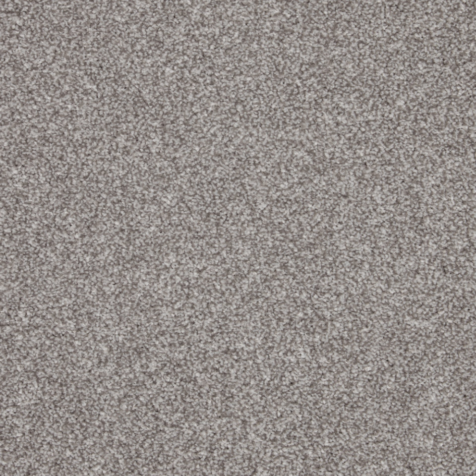 Turin twist pile saxony carpet in colour cortina grey