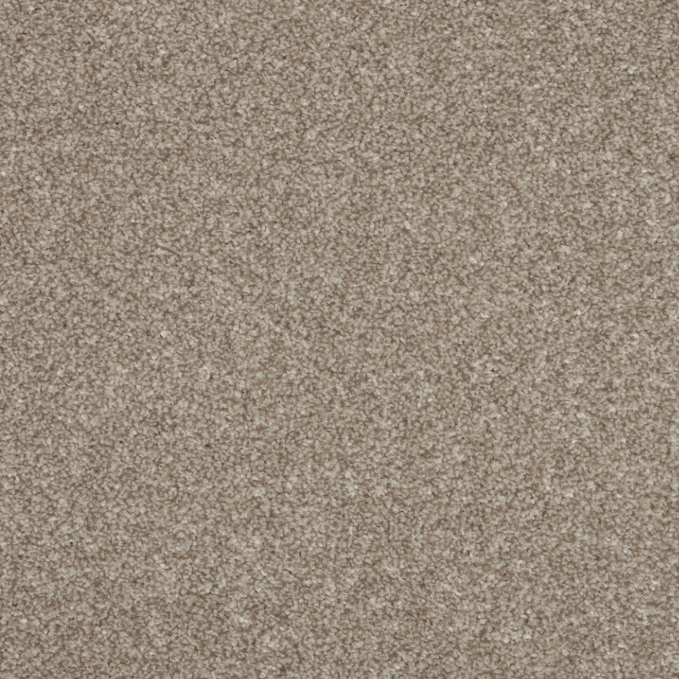 Turin saxony carpet in colour Macadamia
