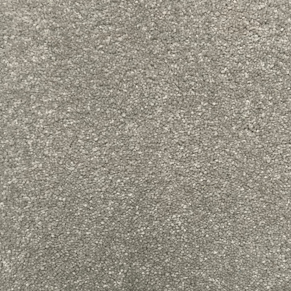 Ultimate impressions twist pile carpet in Merit