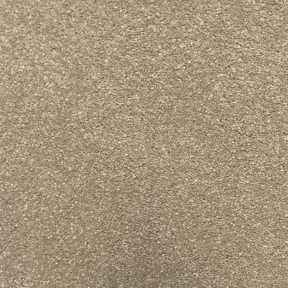 Ultimate impressions twist pile carpet in Paradise