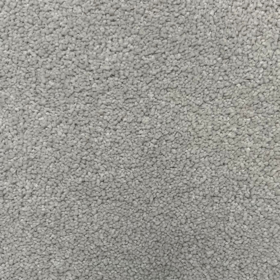 Ultimate impressions twist pile carpet in silken