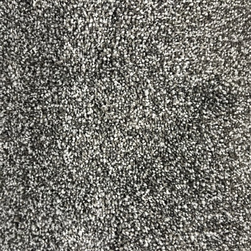 Alice Springs twist pile carpet in 77