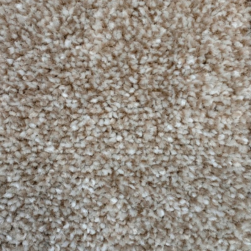 Brisbane twist pile carpet in 91