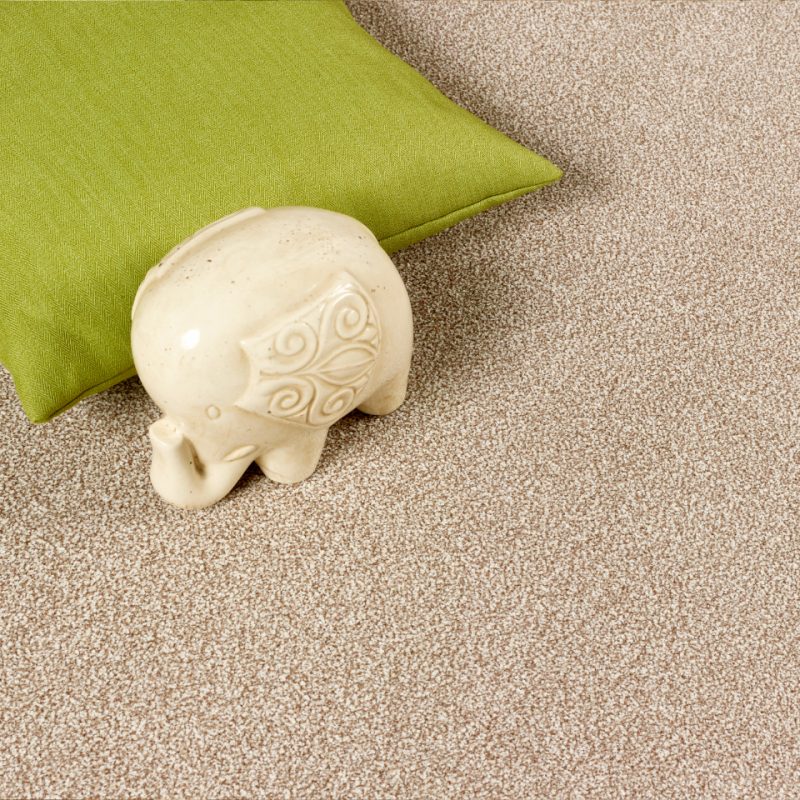 Caerphilly saxony carpet with a money pot on the carpet