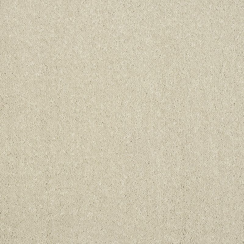 Captivation twist pile carpet in Turtle dove