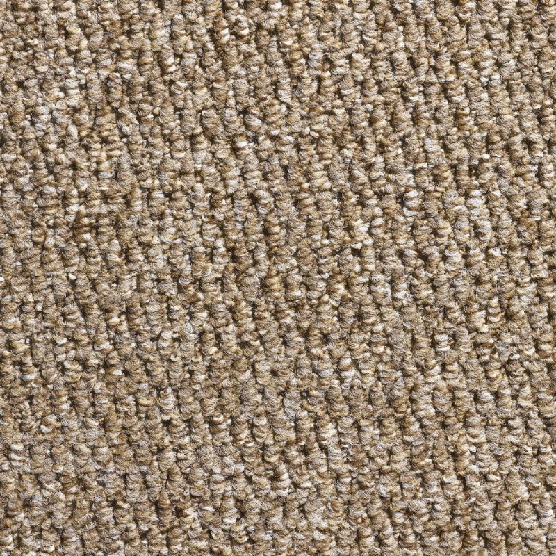 chile berber loop carpet in Mink