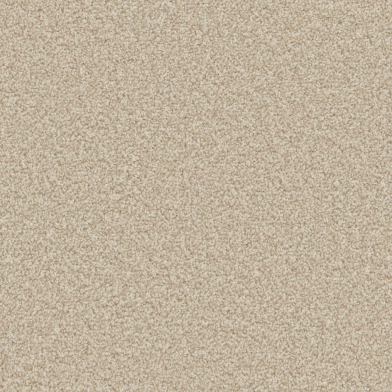 Classic Twist twist pile carpet in Biscotti