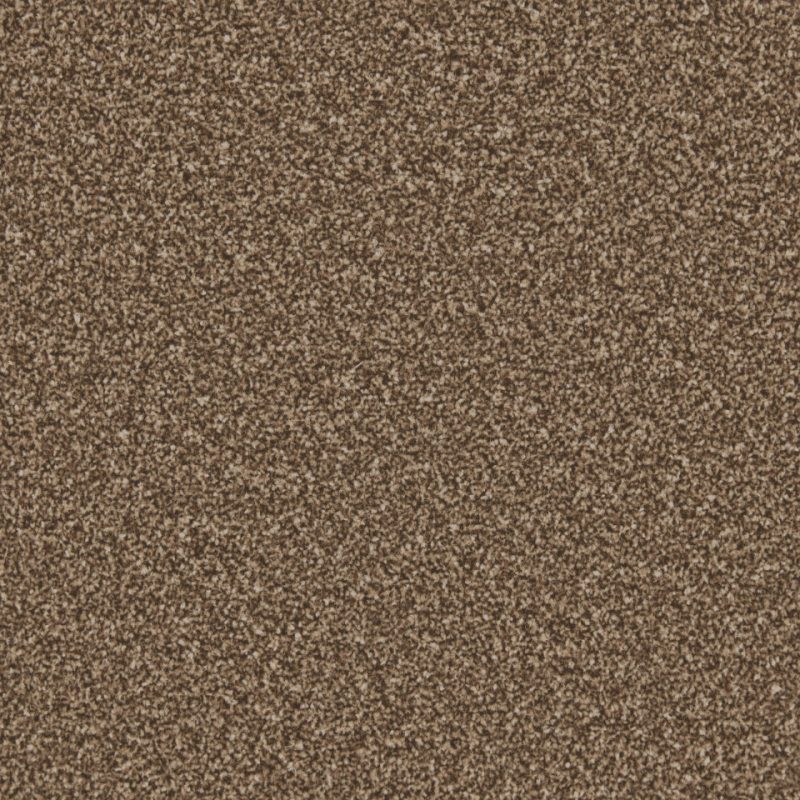 Classic Twist twist pile carpet in Truffle