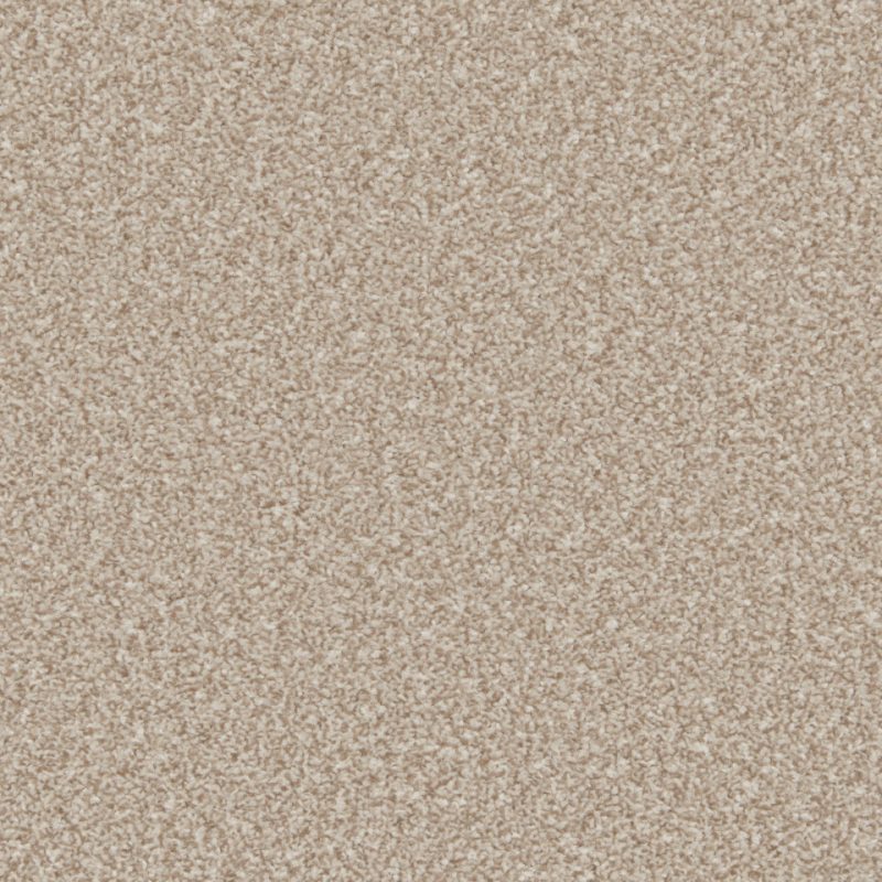 Classic Twist elite twist pile carpet in Doeskin