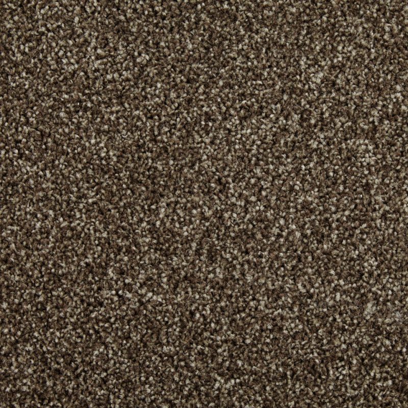 Classic Twist elite twist pile carpet in truffle