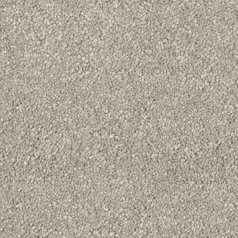 Desire saxony carpet in colour Coriander