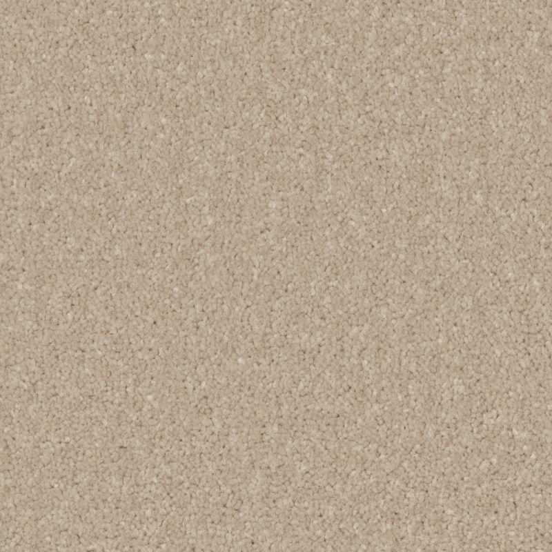 Florence twist pile carpet in bay light