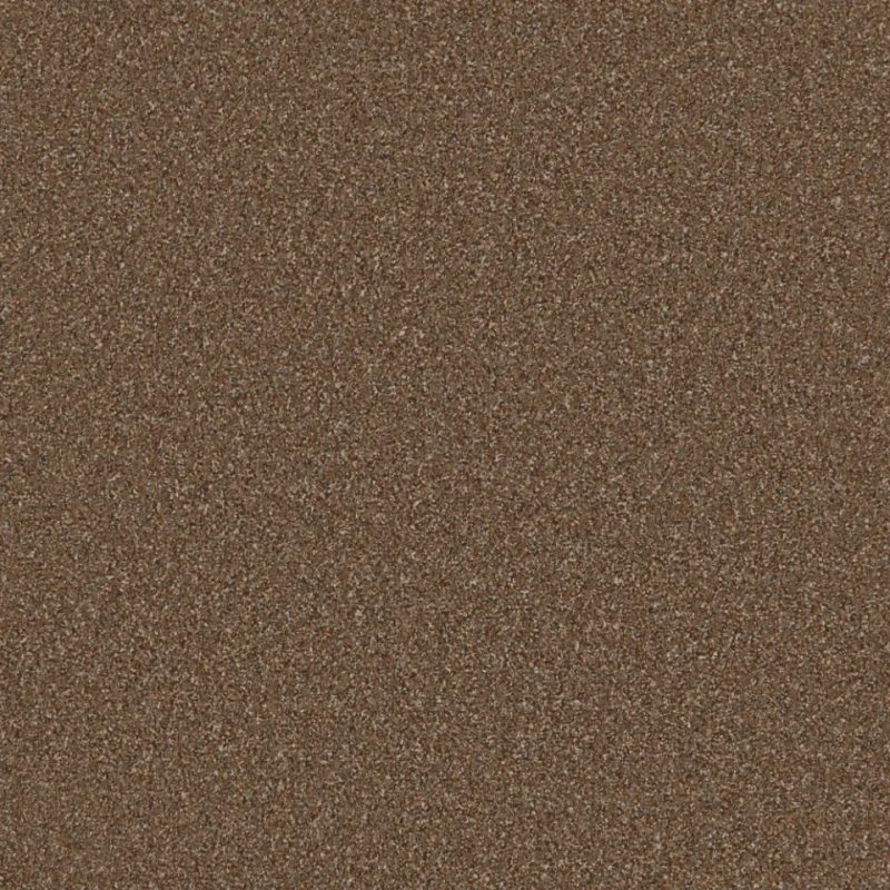 Londonderry twist pile carpet in Biscotti