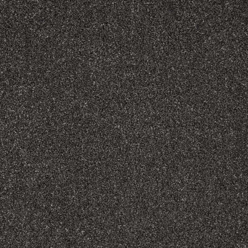 pompei twist pile carpet in Jet