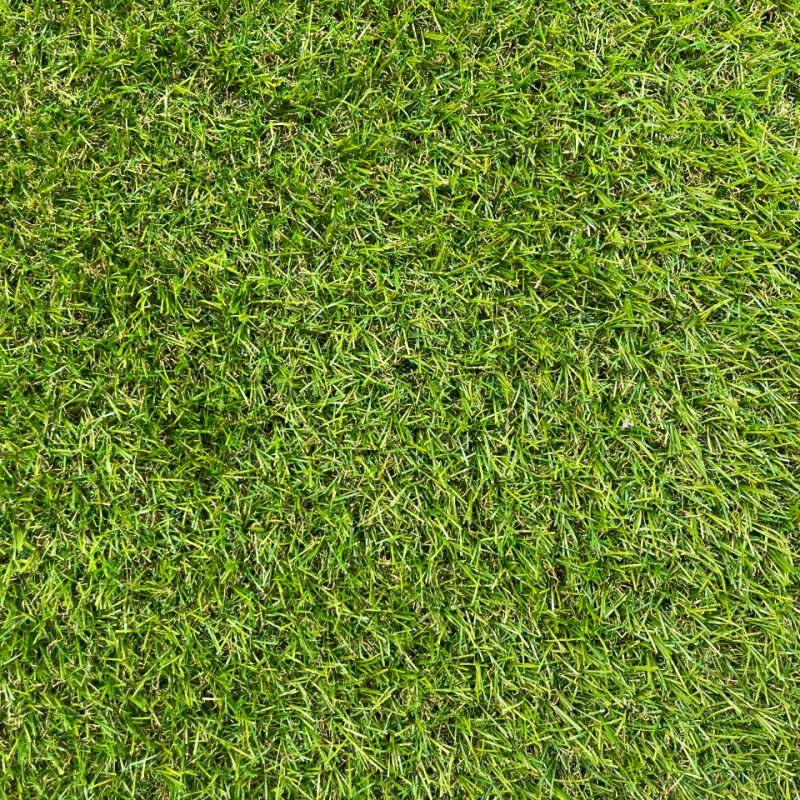 Artificial grass in the style of Avon 20mm