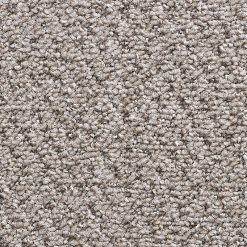 Castle Berber berber loop carpet in Beige