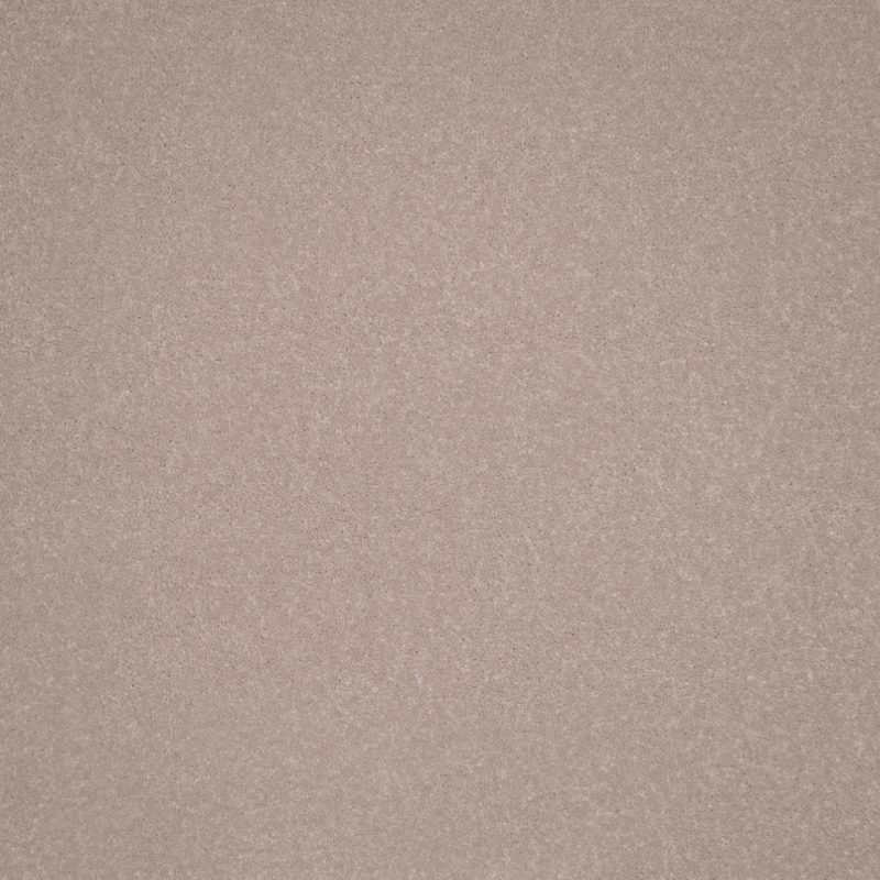 Elegance twist pile carpet in Druids Circle