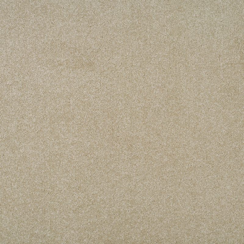 Grace twist pile carpet in Shimmer