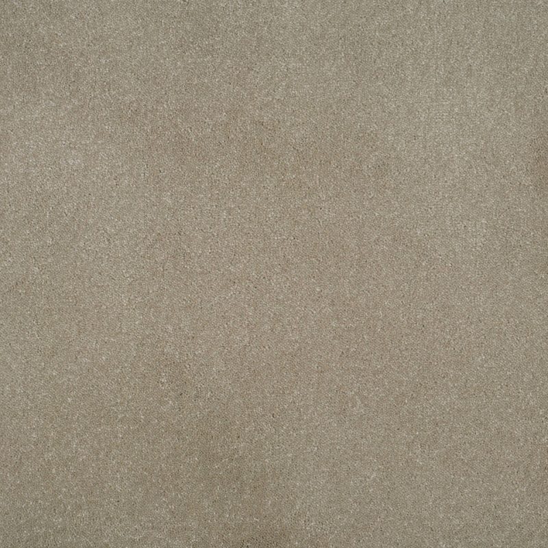 Grace twist pile carpet in Valour