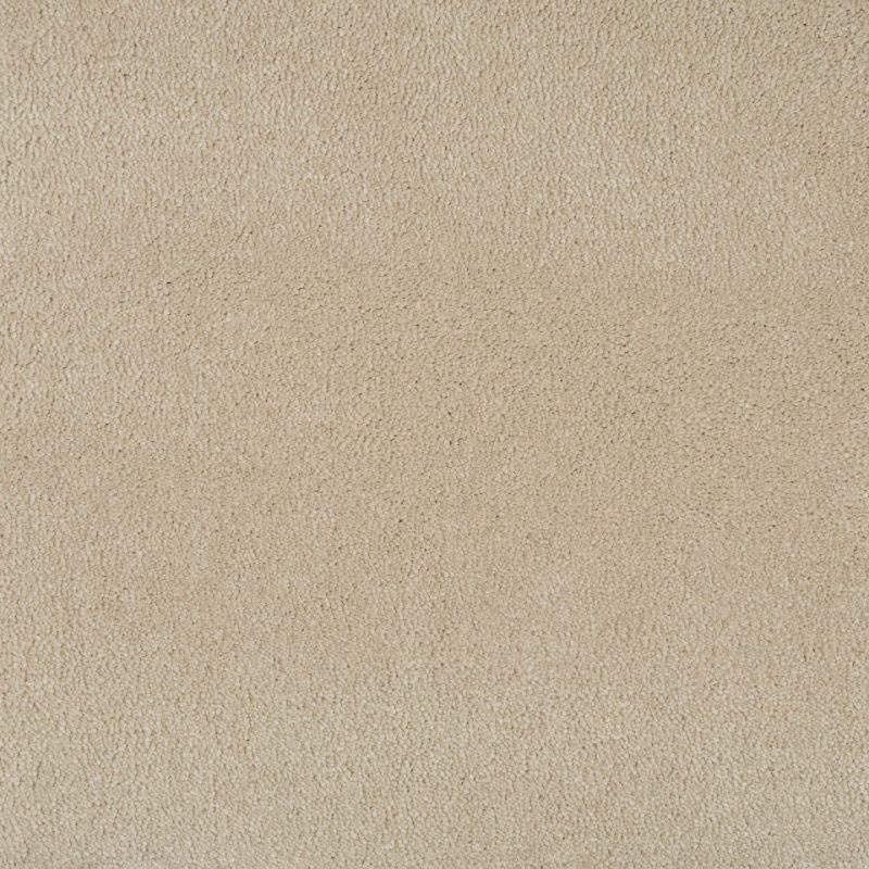 New York saxony carpet in colour Ice Petal