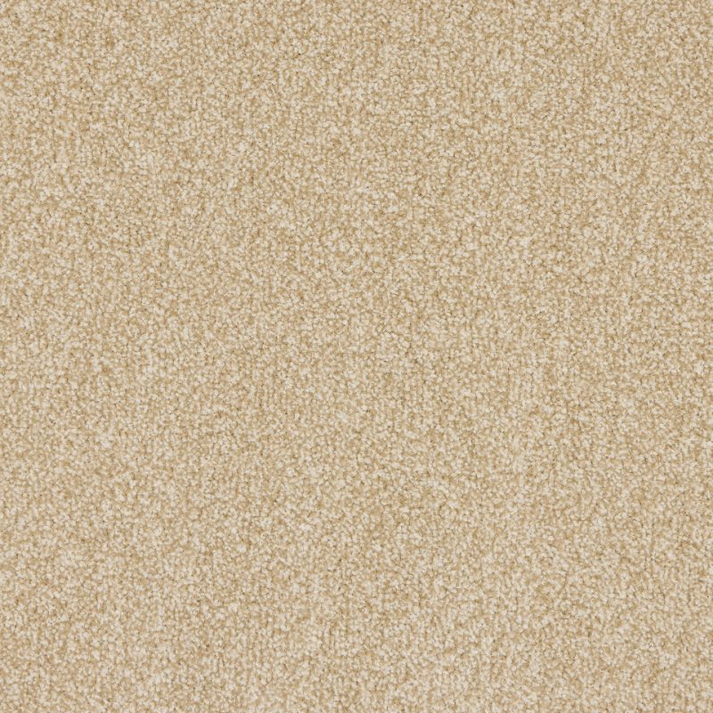 St Davids twist pile carpet in Champagne